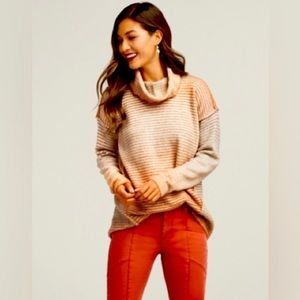 CAbi 4105 Ombré Striped Pullover Cowl Neck Sweater Size Small